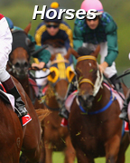 Thoroughbred Horses Wagering, Quarter horse wagering, Harness Race Wagering, and even Dog Wagering. Whatever your fancy, you will find it in our racebook which, has tracks from all over the country.